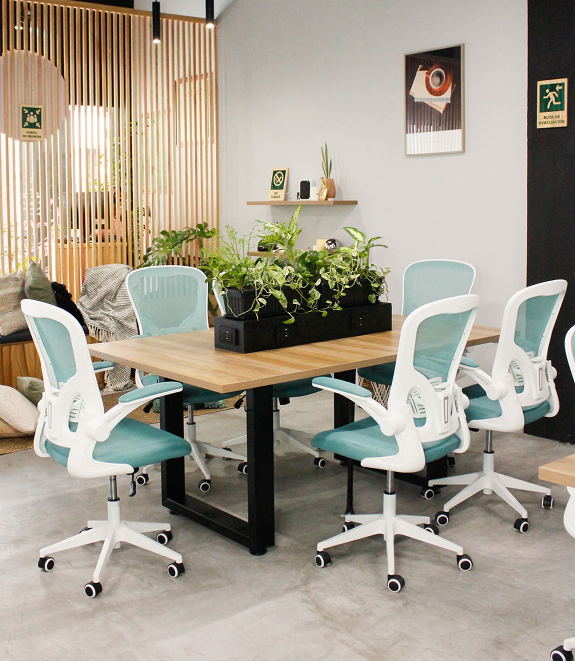 Interior de Bloom CoLab con mesa de trabajo, plantas y luz natural en Playa del Carmen